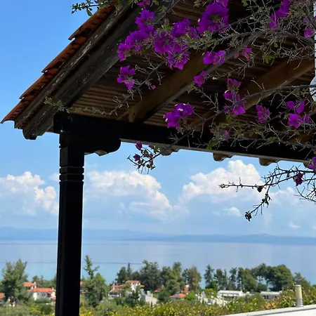 Tao Te Wellness * Полихроно