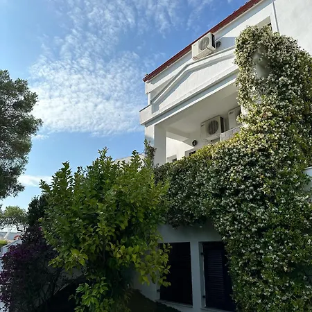 Tao Te Wellness * Políhrono