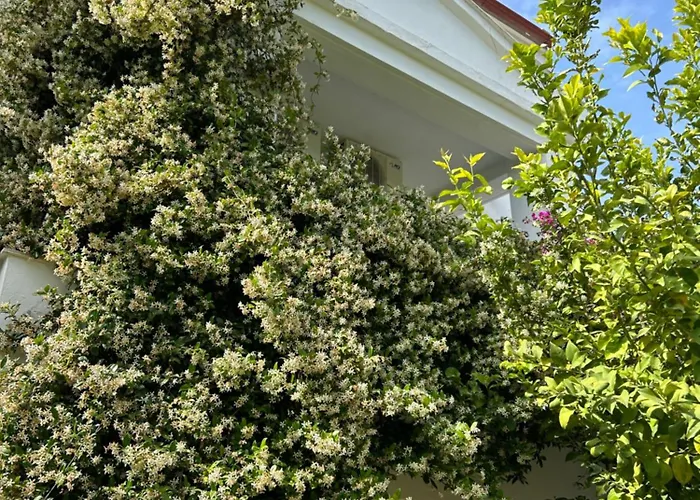 Tao Te Wellness