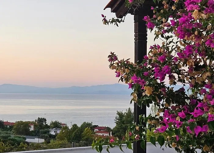Tao Te Wellness Πολύχρονο