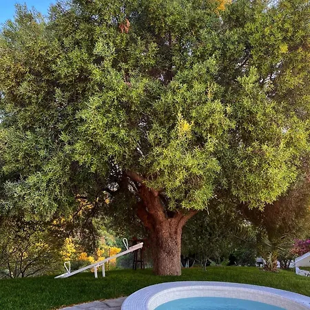 Apartment Tao Te Wellness