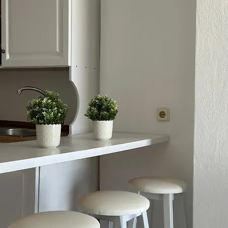 Tao Te Wellness Apartment