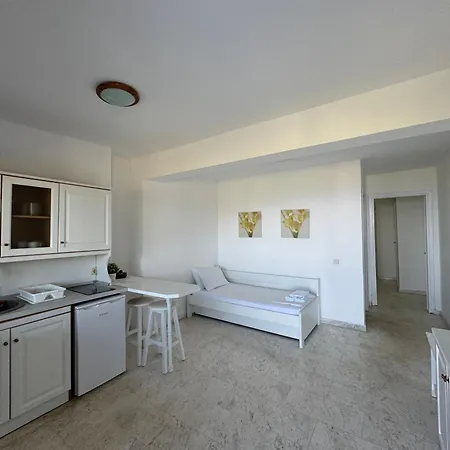 Tao Te Wellness * Polychrono