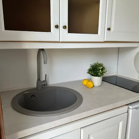 Tao Te Wellness Apartment