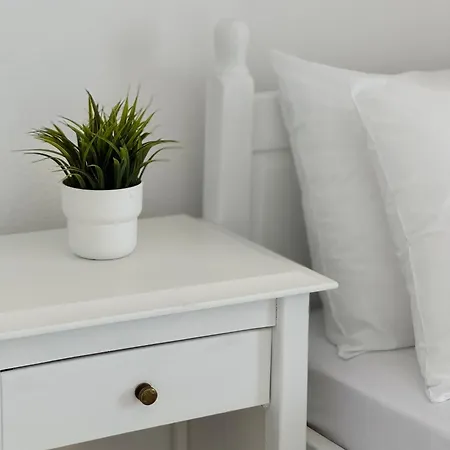 Tao Te Wellness * Polychrono