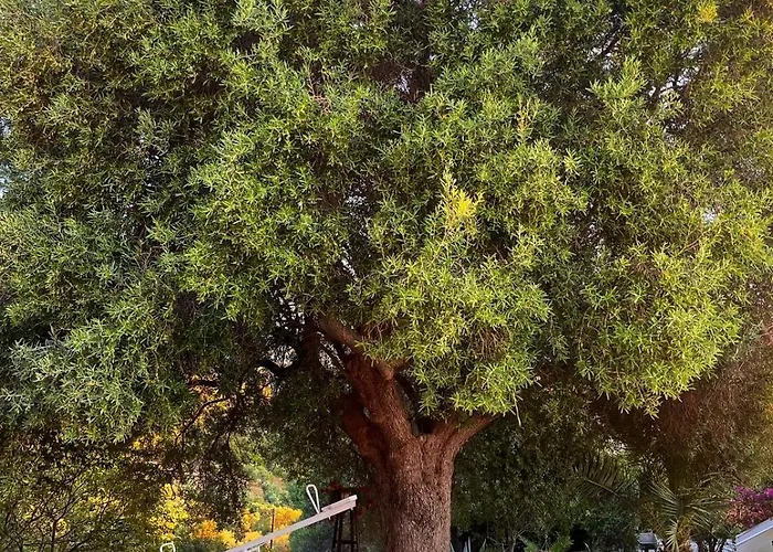 公寓 Tao Te Wellness