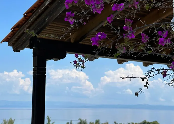 Tao Te Wellness * 波利克罗诺