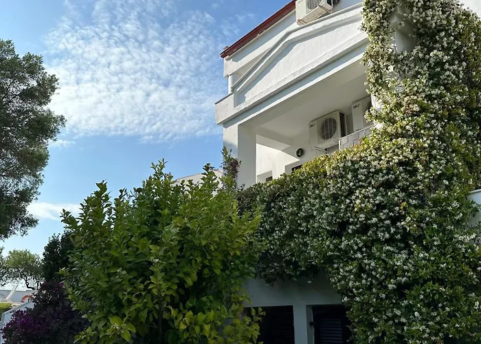 Tao Te Wellness * 波利克罗诺