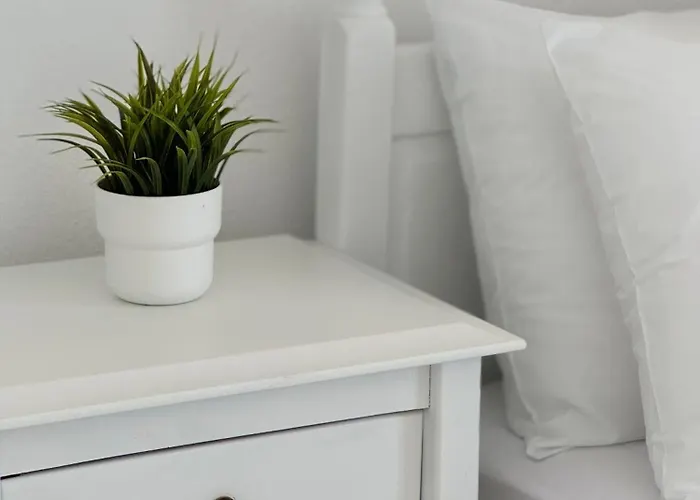 Tao Te Wellness * 波利克罗诺